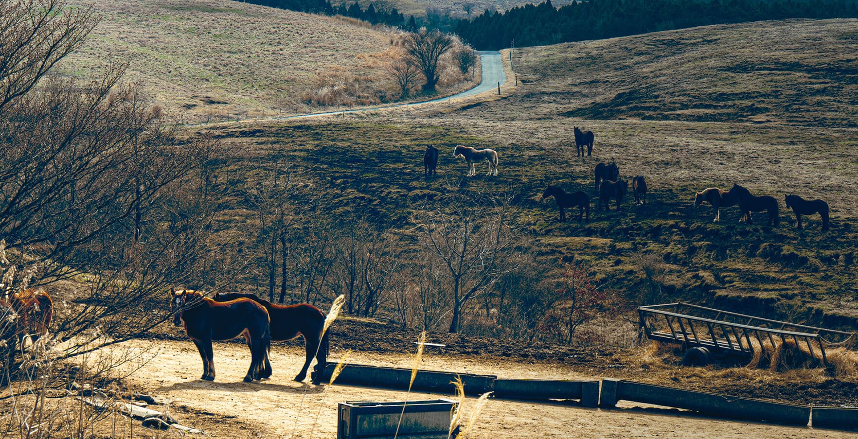 ABOUT メインビジュアル