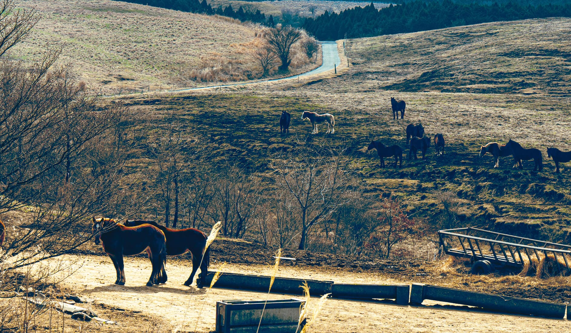 ABOUT メインビジュアル