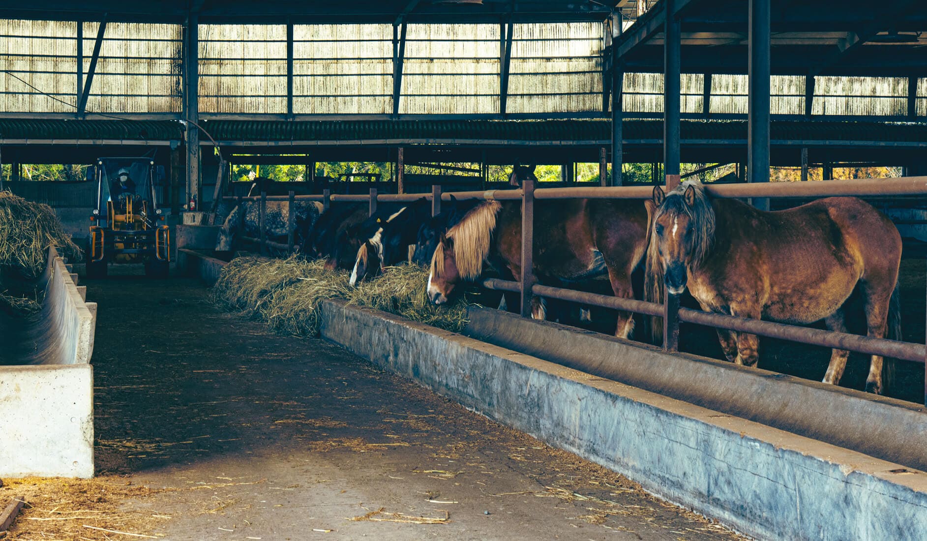 原料の出所が明確