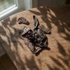 自然光の下で撮影した犬用馬肉ジャーキー